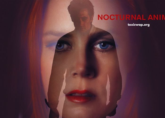 Nocturnal Animals